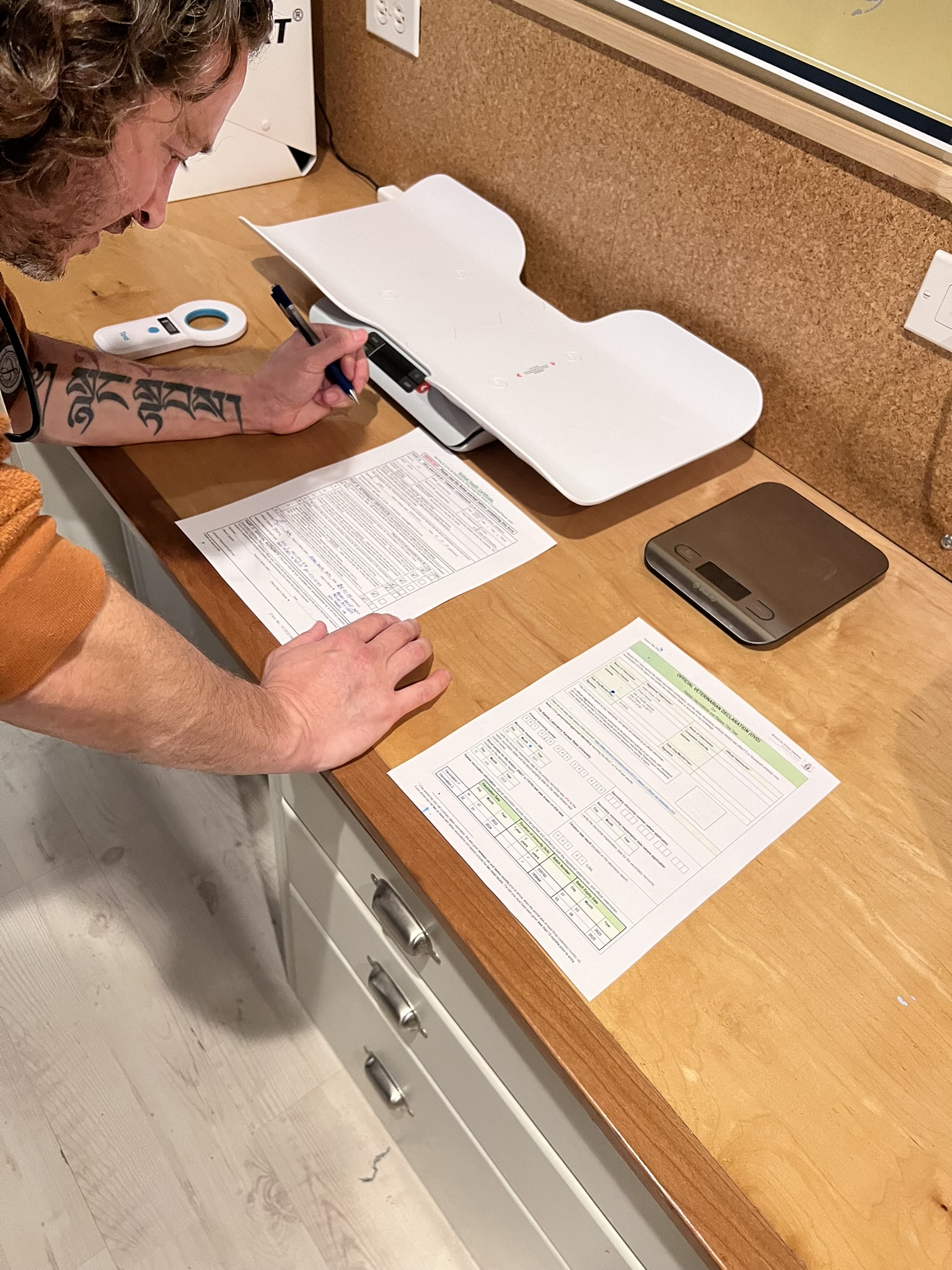 Pet travel documentation being prepared
