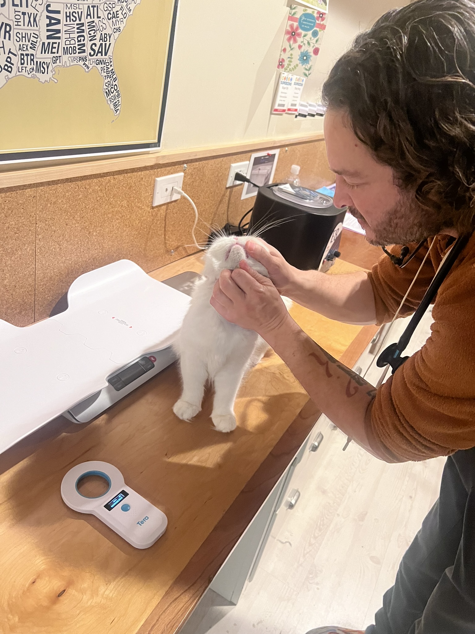 Pet prepared for a travel veterinary appointment